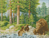 Forest and bears