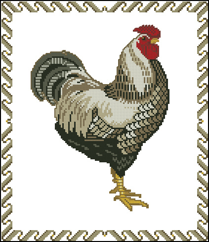 Spotted rooster