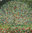 Tree flowers - Gustav Klimt