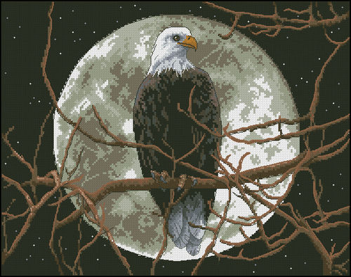 Eagle under the moon