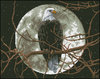 Aguila bajo la luna