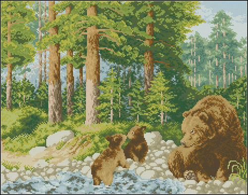 Bosque y osos