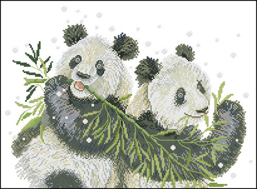 Pandas y Bambú