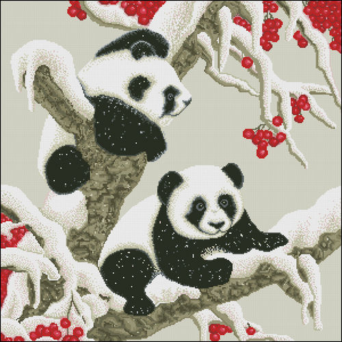 Pandas en Invierno