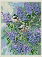 Lilacs and Pansies