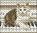 Gato en piano