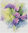 Iris watercolor